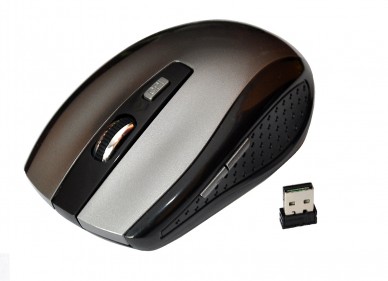 Souris optique sans fil DELTA